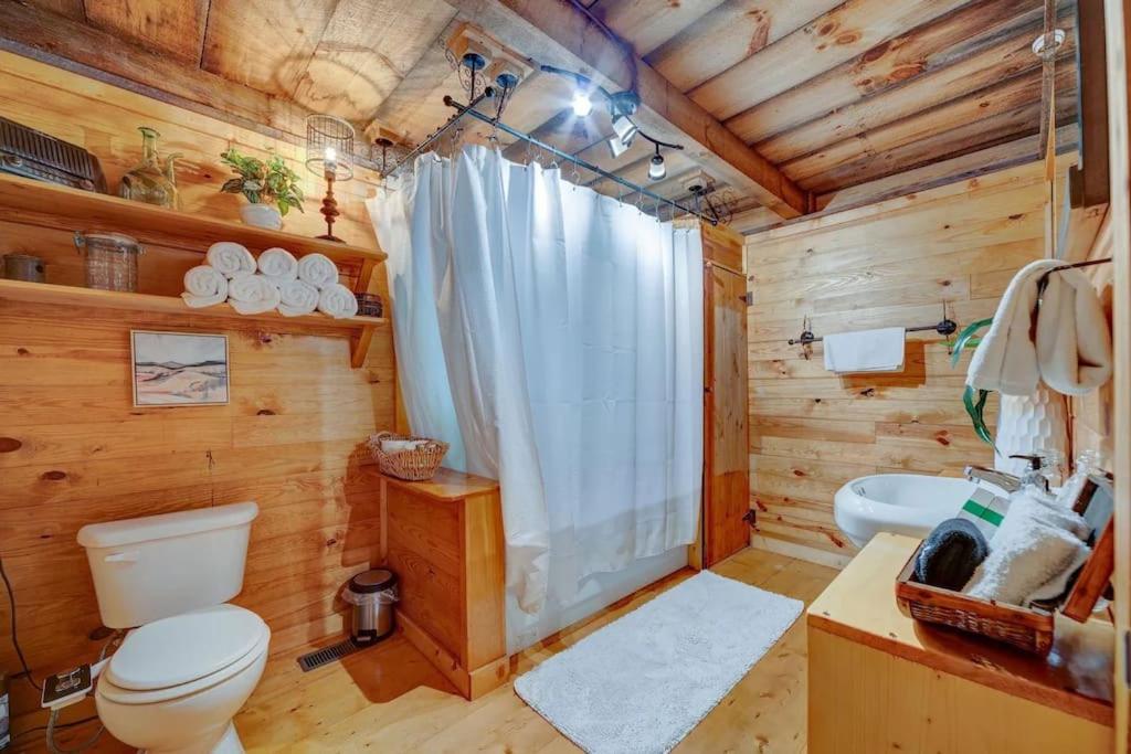 Bear Den Bungalow With Hot Tub Near Blue Ridge And Ellijay Εξωτερικό φωτογραφία